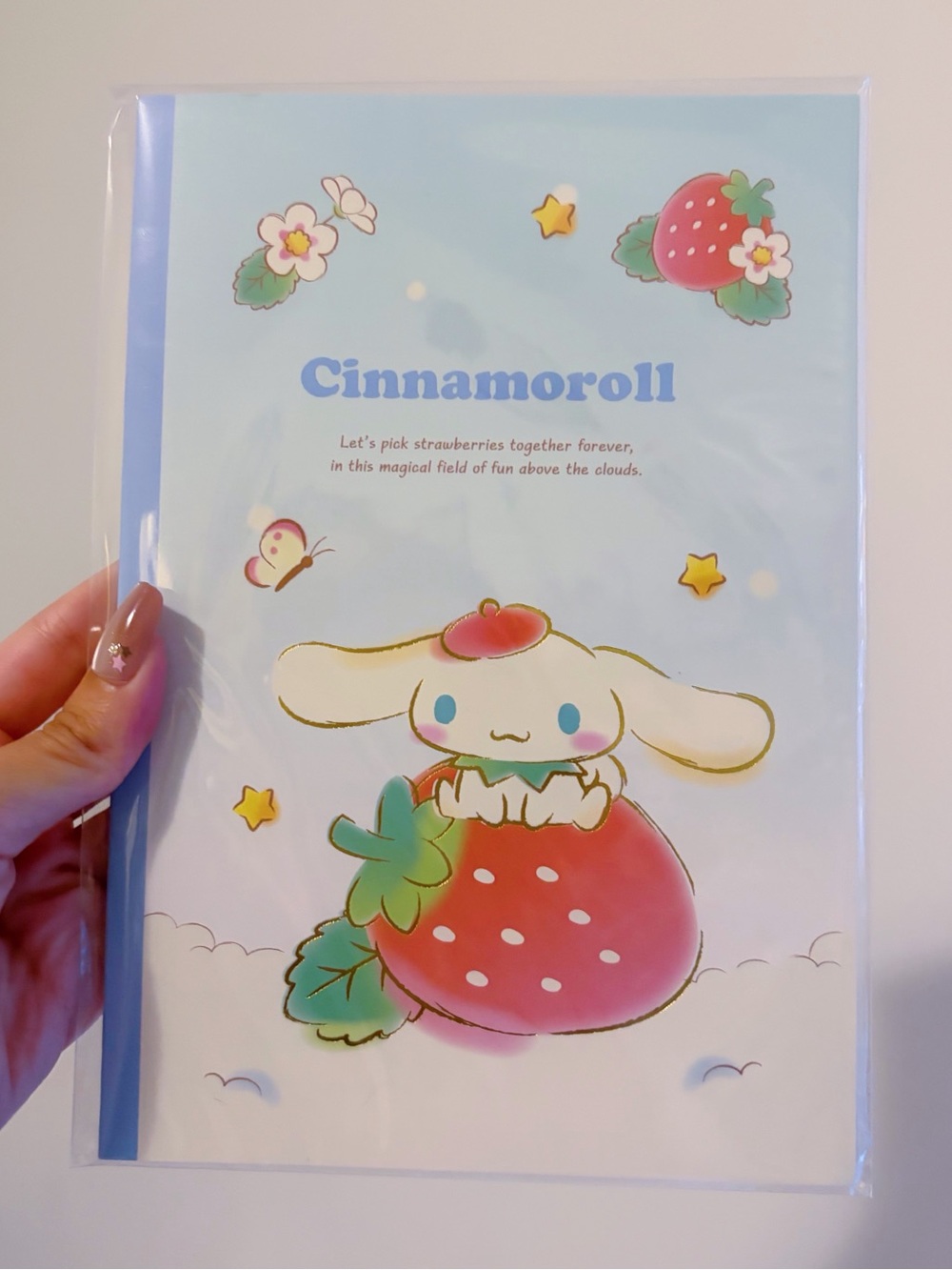 🎀3/$25🎀 Cinnamoroll Strawberry Notebook - Light Blue/Pink